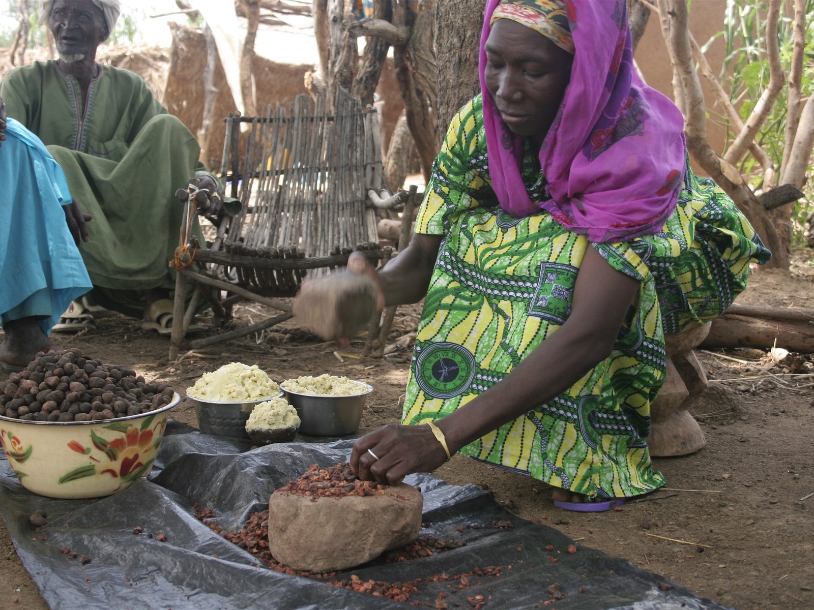 Photograph of shea nuts being sorted and ground during traditional shea butter processing in West Africa